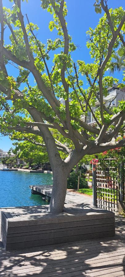 V&A Waterfront Marina Family Apartment 101 Altmore Ciudad del Cabo Exterior foto